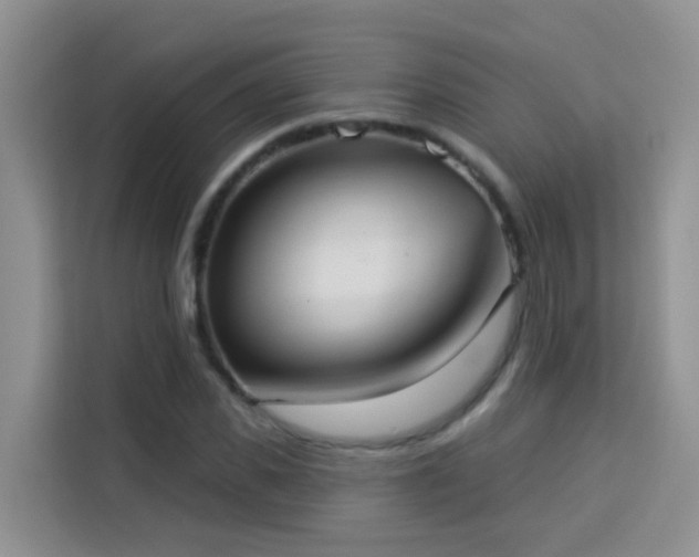 X0000114130925200910081241