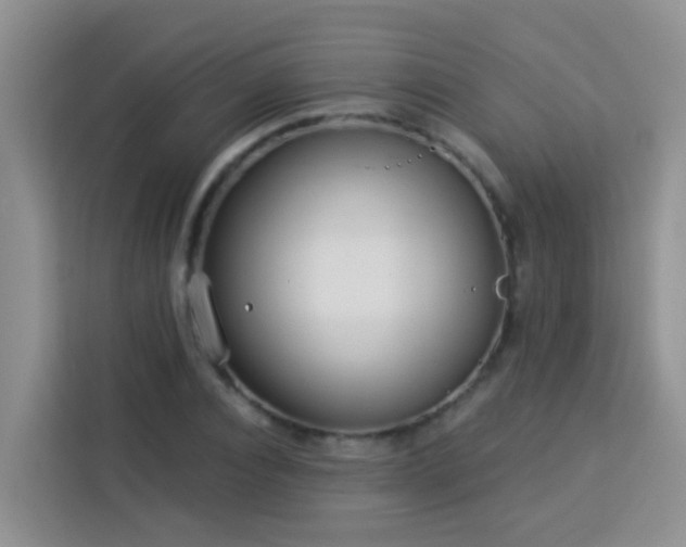 X0000114130928200910081241