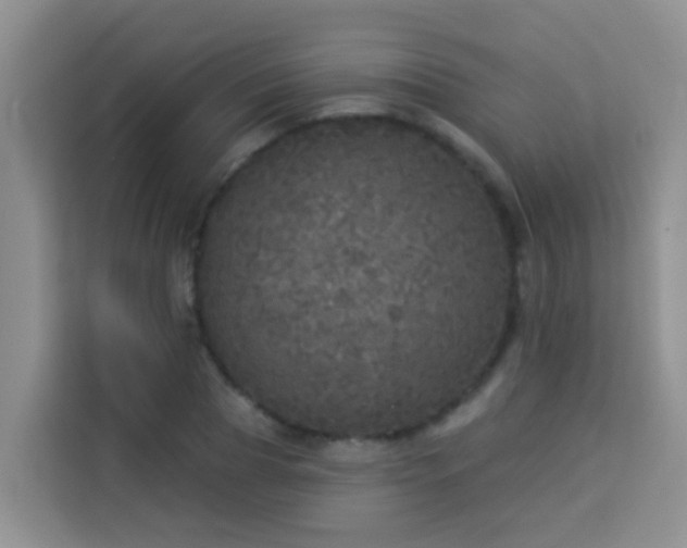 X0000114130929200910081241