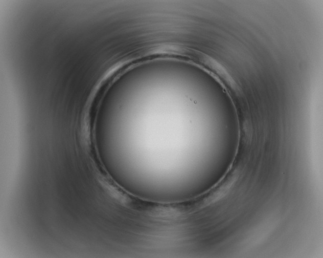 X0000114130931200910081241