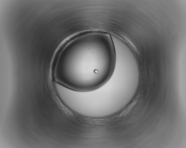 X0000114130932200910081241