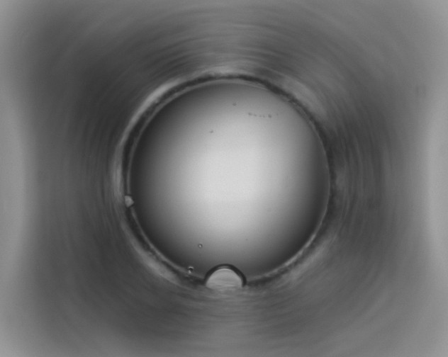 X0000114130934200910081241