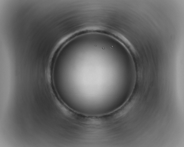 X0000114130935200910081241