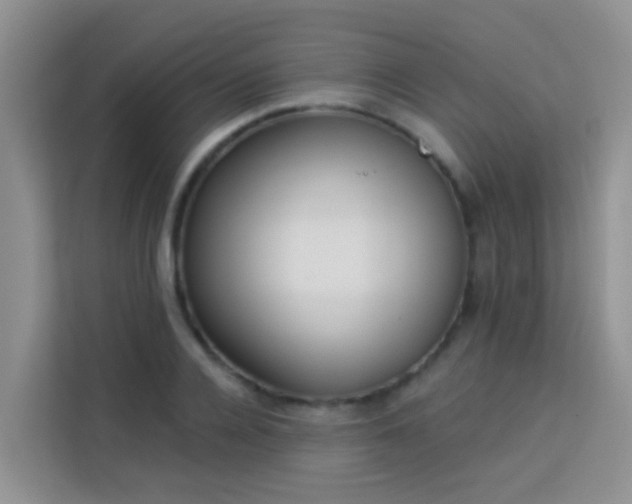 X0000114130936200910081241