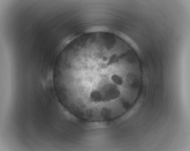 X0000114130937200910081241