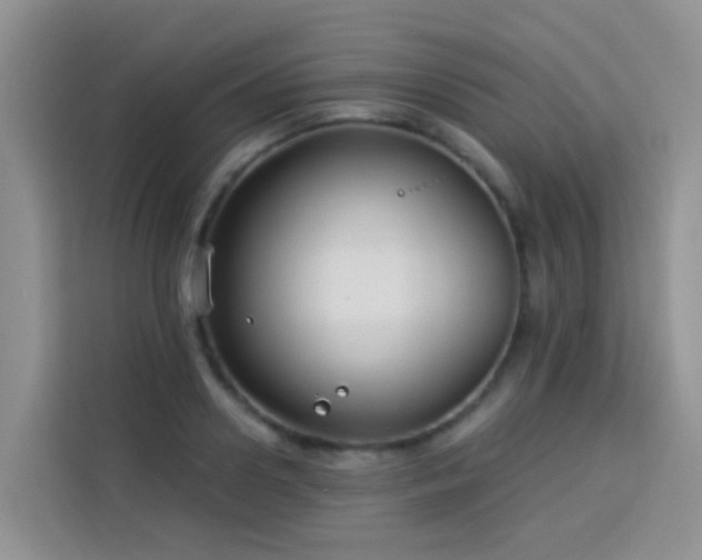 X0000114130938200910081241