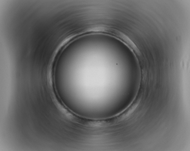 X0000114130939200910081241
