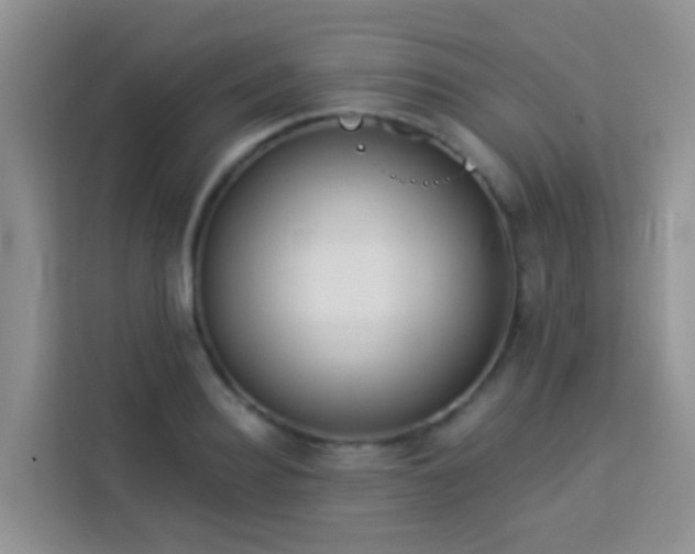 X0000114130940200910081241