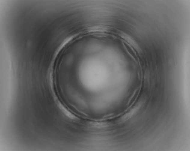 X0000114130941200910081241