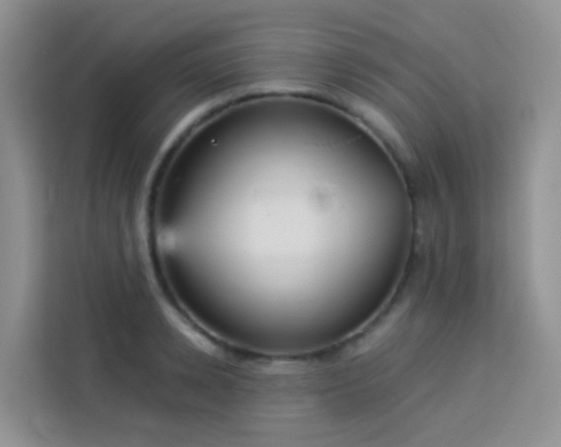 X0000114130942200910081241
