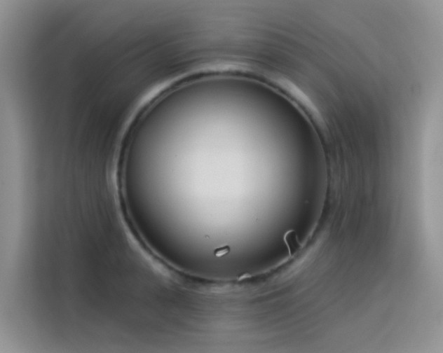 X0000114130943200910081241