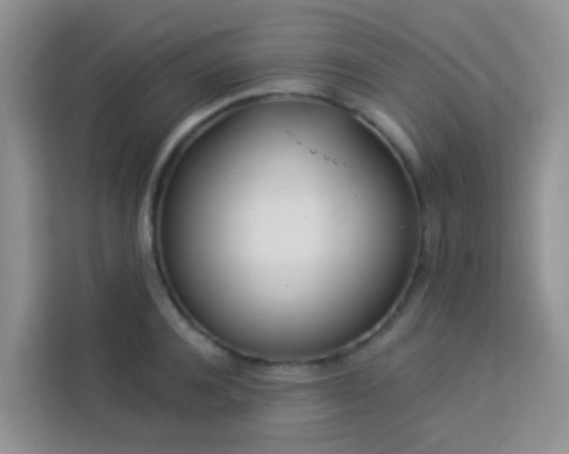 X0000114130944200910081241