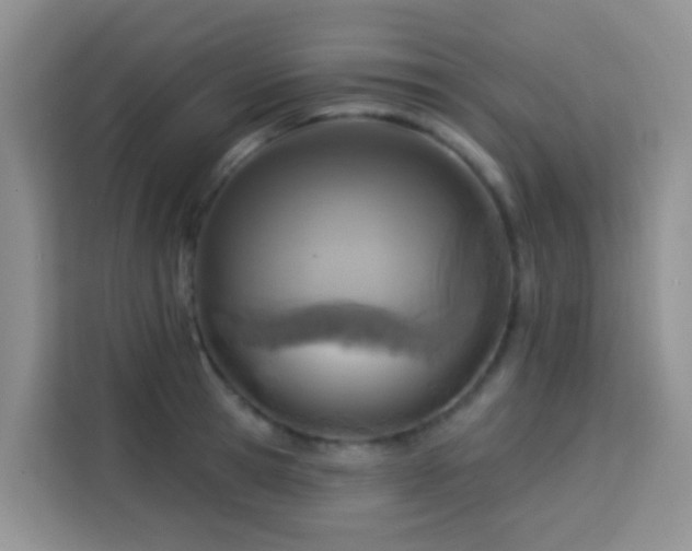 X0000114130945200910081241