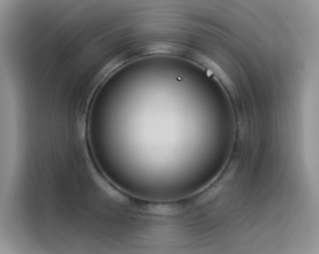 X0000114130946200910081241