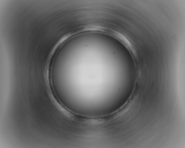 X0000114130947200910081241