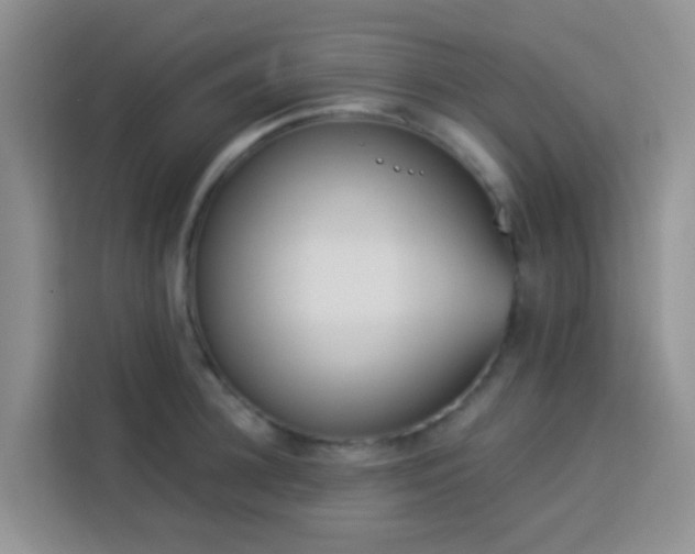 X0000114130948200910081241
