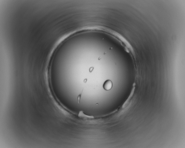 X0000114130951200910081241