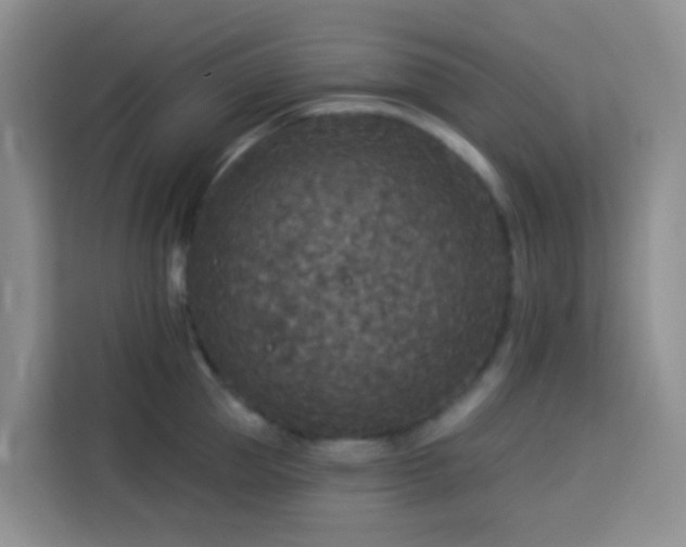 X0000114130953200910081241