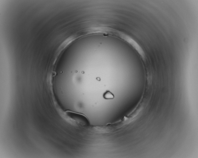 X0000114130954200910081241