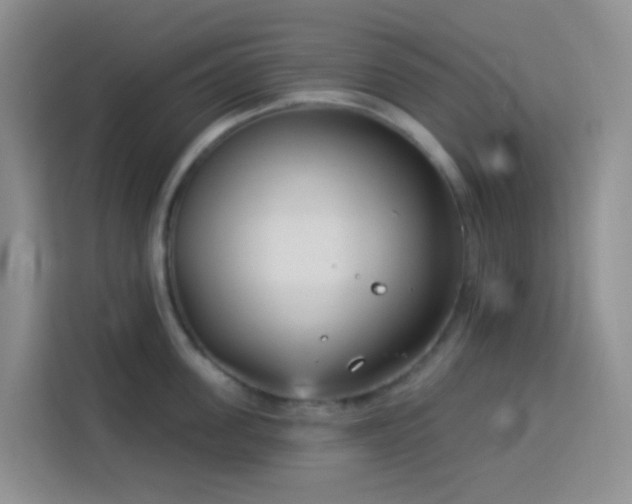 X0000114130955200910081241