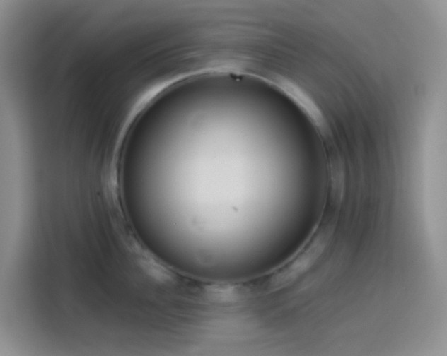 X0000114130956200910081241