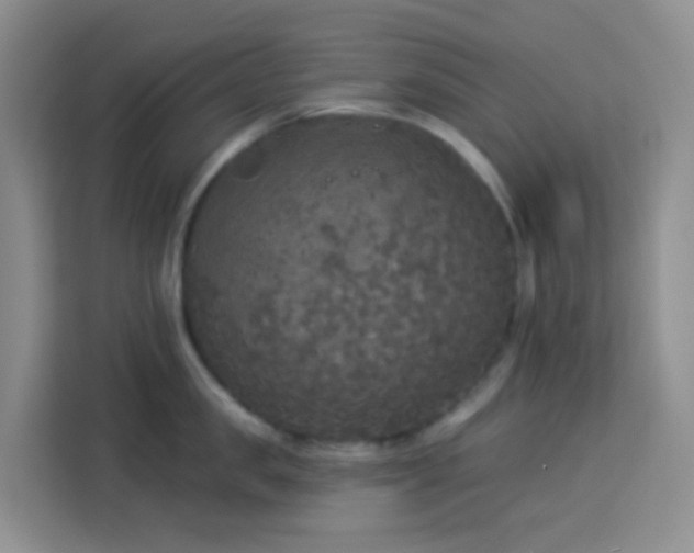 X0000114130957200910081242