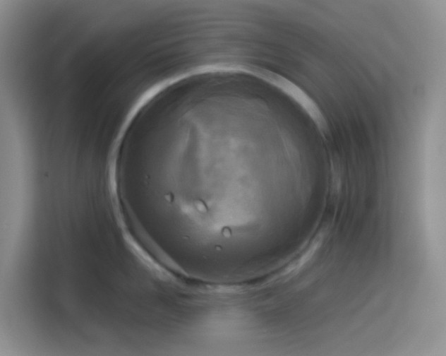 X0000114130958200910081242