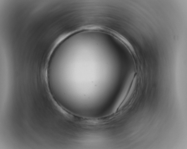 X0000114130959200910081242