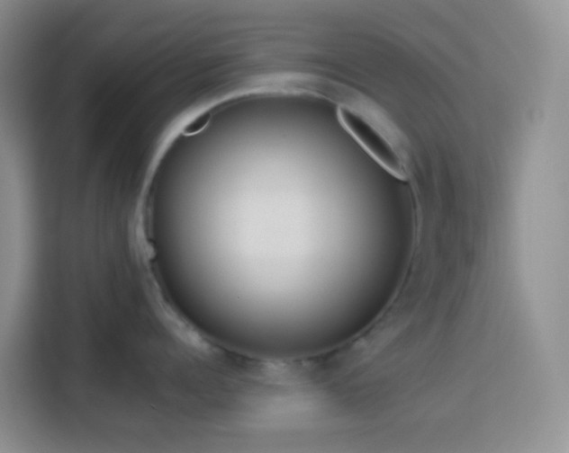 X0000114130960200910081242