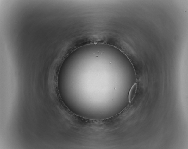X0000114130961200910081241