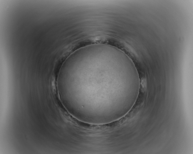 X0000114130963200910081241
