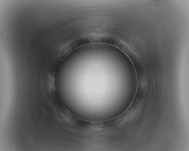 X0000114130964200910081241