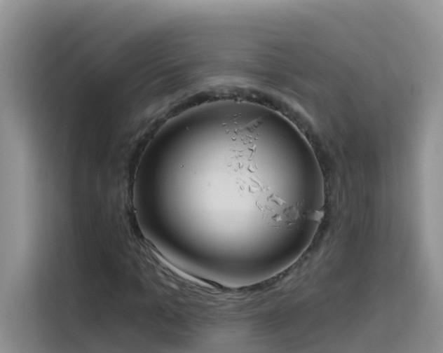 X0000114130965200910081241
