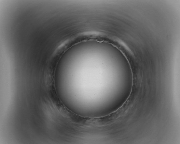 X0000114130967200910081241