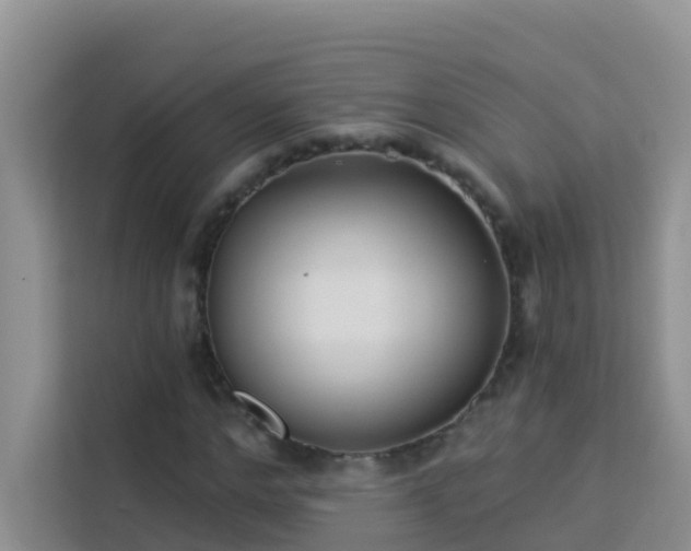 X0000114130968200910081241
