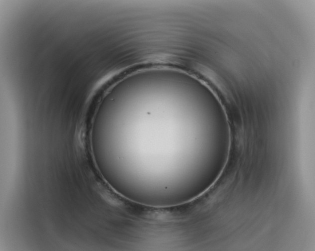 X0000114130971200910081241