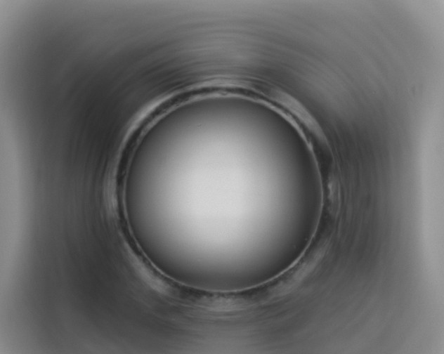 X0000114130972200910081241