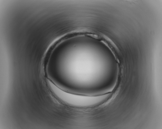 X0000114130973200910081241