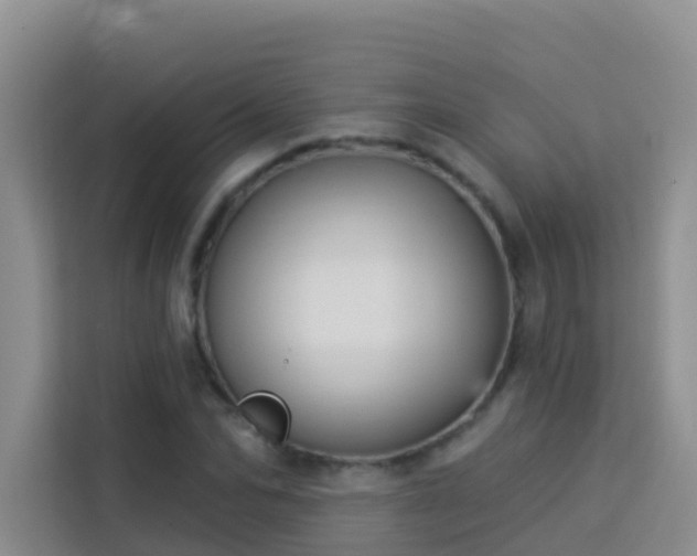 X0000114130974200910081241