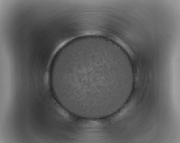 X0000114130975200910081241