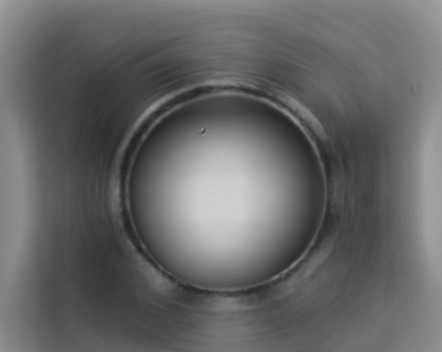 X0000114130976200910081241