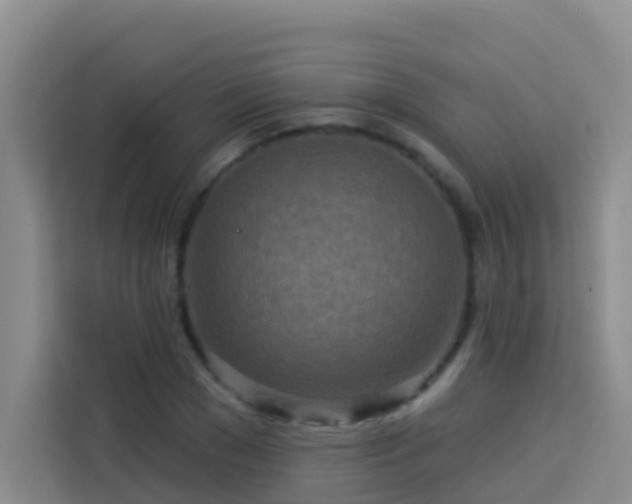 X0000114130977200910081241