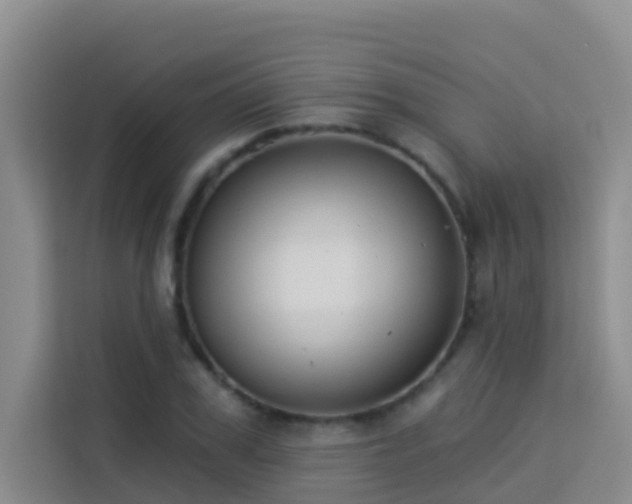 X0000114130979200910081241