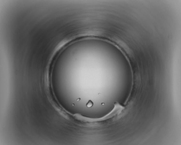 X0000114130982200910081241