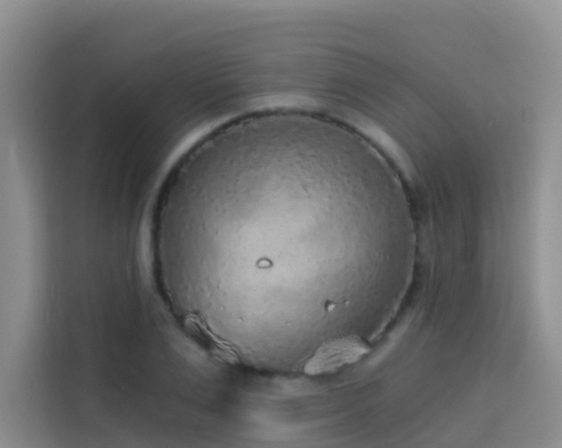 X0000114130983200910081241