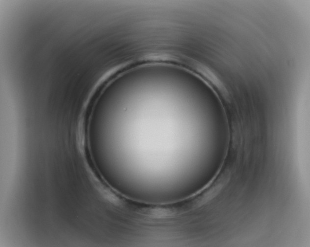 X0000114130984200910081241