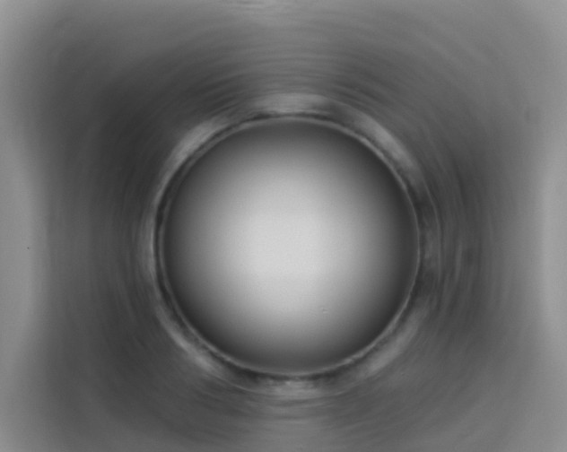 X0000114130986200910081241