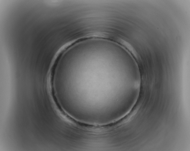 X0000114130987200910081241