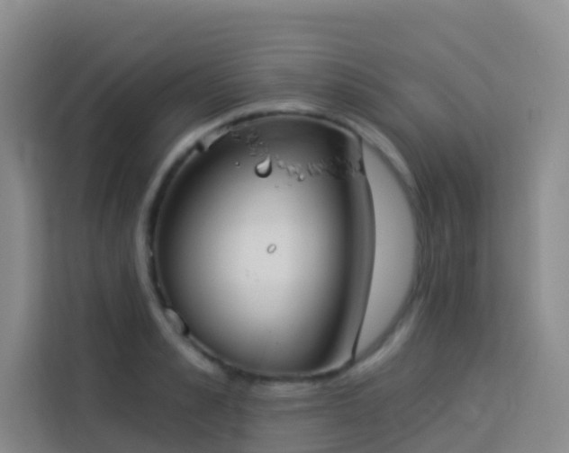 X0000114130989200910081241