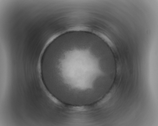 X0000114130990200910081241